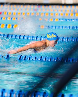 Image post by @uclaswimanddive on Instagram