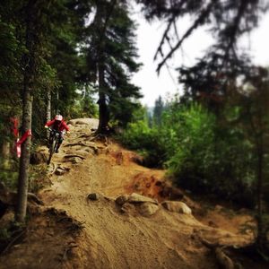 Image post by @whistlerblackcomb on Instagram
