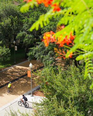 Image post by @utaustintx on Instagram