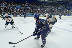 Image post by @framesbyfleming on Instagram