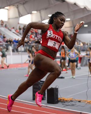 Image post by @terriertfxc on Instagram