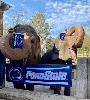 Image post by @penn_state on Twitter