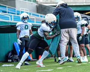 Image post by @greenwavefb on Instagram