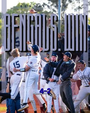 Image post by @beckhambaseball on Instagram