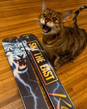 Image post by @j_skis on Instagram
