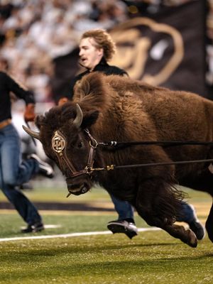Image post by @cubuffs on Instagram