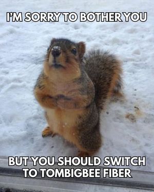 Image post by @TombigbeeFiber on Facebook