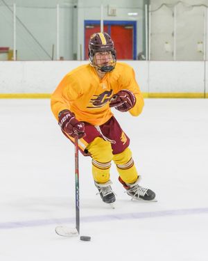 Image post by @cmuhockeyd3 on Instagram