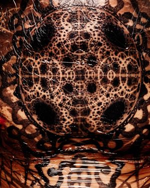 Image post by @pestkashoots on Instagram