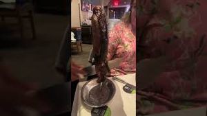 Video post by @bostonwithemily on YouTube