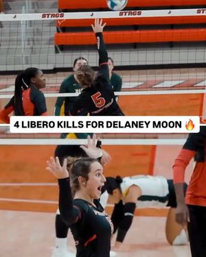 Image post by @ncaavolleyball on Instagram