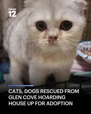 Image post by @news12li on Instagram