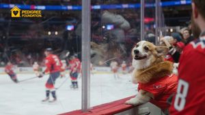 Video post by @Capitals on Facebook