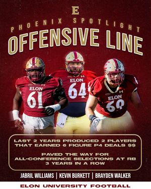 Image post by @elonfb on Instagram