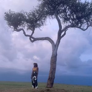 Image post by @danaigurira on Instagram
