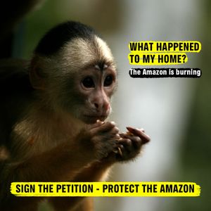 Image post by @greenpeace on Instagram