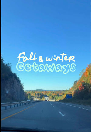 Video post by @morgan.exploring on TikTok