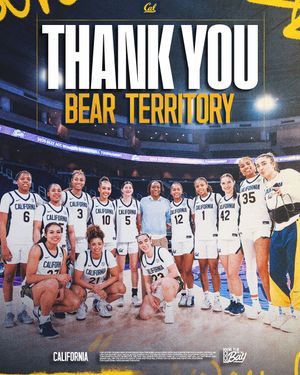 Image post by @calwbball on Instagram