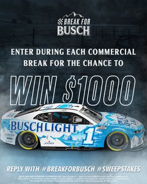 Image post by @BuschBeer on Twitter