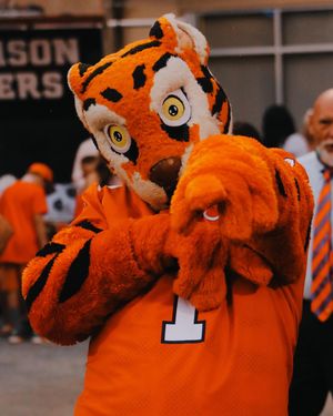 Image post by @cutigervision on Instagram