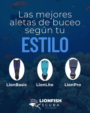Image post by @lionfishscuba on Instagram