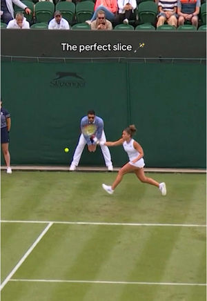 Video post by @wimbledon on TikTok