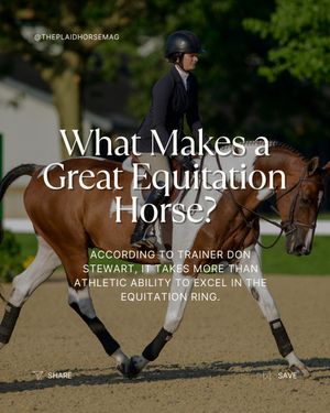 Image post by @theplaidhorsemag on Instagram