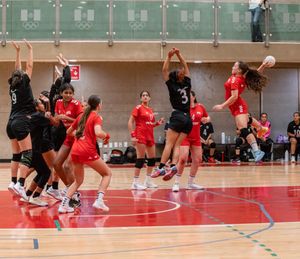 Image post by @usahandballwnt on Instagram