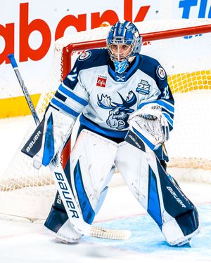 Image post by @ManitobaMoose on Twitter