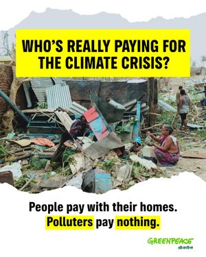Image post by @greenpeace on Instagram