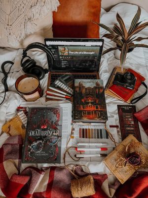 Image post by @fairyloot on Instagram