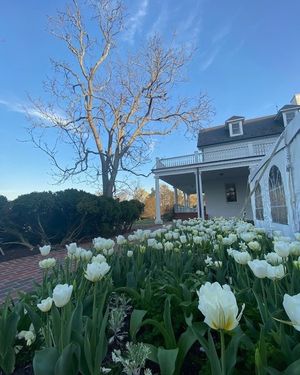 Image post by @ahs_gardening on Instagram