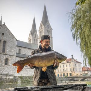 Image post by @brothercarp on Instagram