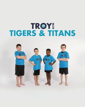 Image post by @troygymnastics on Instagram
