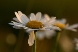 Image post by @sony.deutschland.at on Instagram