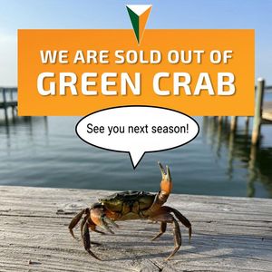 Image post by @pineislandmarina on Instagram