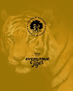 Image post by @everytruetiger on Instagram