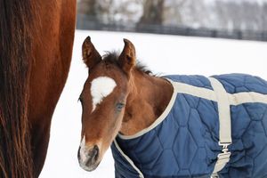 Image post by @margaux.farm on Instagram