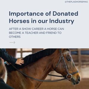 Image post by @theplaidhorsemag on Instagram