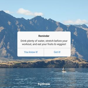 Image post by @hydrow on Instagram