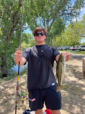 Image post by @profishiency on Instagram