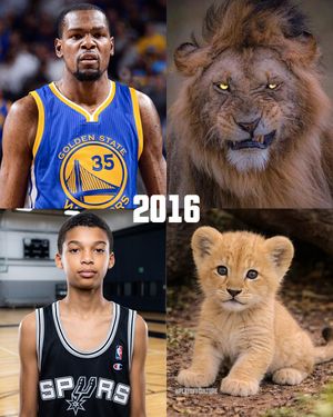 Image post by @playoffculture on Instagram