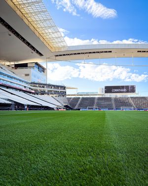Image post by @corinthians on Instagram