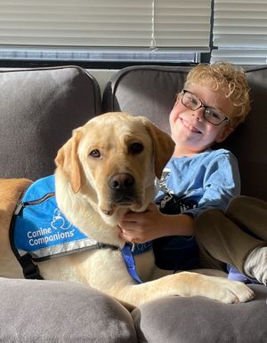 Image post by @canineorg on Instagram