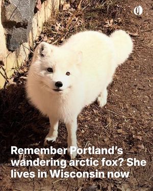 Image post by @theoregonian on Instagram