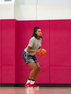 Image post by @unlvladyrebels on Instagram
