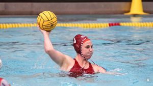 Image post by @IndianaWPolo on Twitter