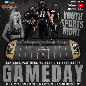 Image post by @panthersifl on Instagram