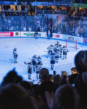 Image post by @blackbearhockey on Instagram
