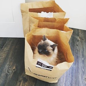 Image post by @amazon on Instagram